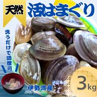 天然 はまぐり 3kg | 活はまぐり 天然はまぐり 蛤 ハマグリ 伊勢湾 天然 活 冷蔵 魚介 魚貝 海鮮 貝 出汁 だし 味噌汁 酒蒸し グラタン お祝い ひなまつり 節句 おせち 贅沢 人気 おすすめ 愛知県 美浜町 ※北海道・沖縄・離島への配送不可
