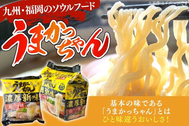 インスタントラーメン うまかっちゃん 濃厚新味 5食パック 6ケース 計 30食 [地域商社ふるさぽ 福岡県 宇美町 um40bfw220002] ラーメン 博多ラーメン インスタント とんこつ 即席ラーメン 袋麺 まとめ買い ラーメン詰め合わせ