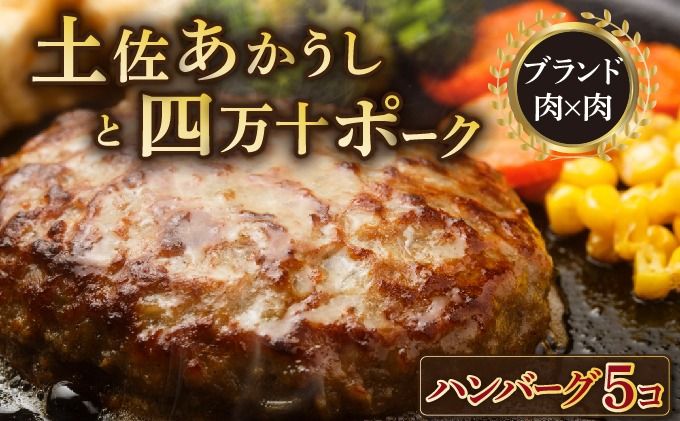 ハンバーグ 5個セット 土佐あかうしと四万十ポーク 国産牛 国産豚 高知県産 yj070!