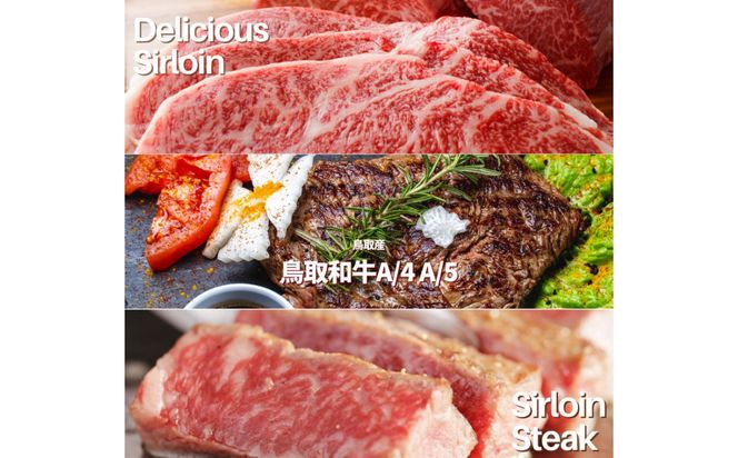 鳥取和牛 サーロインブロック 3kg 312011_FT009