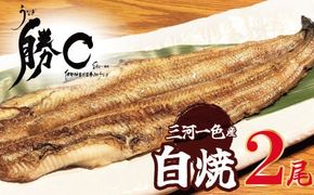 【備長炭で焼く“いい焦がし”】三河一色産うなぎの白焼 2尾 鰻 ウナギ 白焼き 国産 備長炭 土用 丑の日 冷凍 三河一色産 H189-029