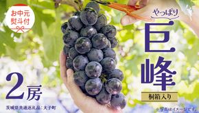 【 お中元 桐箱入り】 巨峰 ２房 【2026年8月上旬発送開始】(茨城県共通返礼品：大子町） ぶどう 葡萄 ブドウ フルーツ 果物 スイーツ ギフト 贈答用 贈り物 プレゼント
