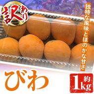 ＜先行予約受付中！2026年5月上旬以降順次発送予定＞数量限定！訳あり びわ(約1kg) 阿久根市 フルーツ 果物 デザート 甘味 酸味 果肉 果汁【松永青果】akn053-10