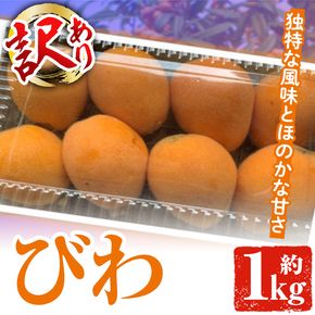 ＜先行予約受付中！2026年5月上旬以降順次発送予定＞数量限定！訳あり びわ(約1kg) 阿久根市 フルーツ 果物 デザート 甘味 酸味 果肉 果汁【松永青果】akn053-10