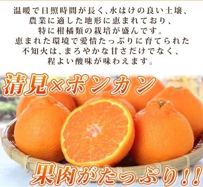 G7358_【2027年先行予約】紀州有田産 不知火 (しらぬい)【家庭用 訳あり】6kg デコポン フルーツ デザート 柑橘 果物 果実 みかん お取り寄せ 和歌山県 湯浅町 送料無料