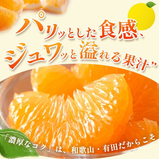 ＜1月より発送＞家庭用 はっさく5kg+250g（傷み補償分）｜ 八朔みかん わけあり