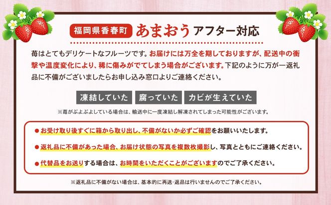 【2025年2月発送】【数量限定300g】 エコファーマー あまおう 約300g×2パック 計600g / いちご 苺 イチゴ ベリー 果物 フルーツ お取り寄せ デザート おやつ