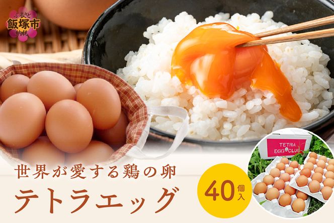 【A5-459】テトラエッグ40個入