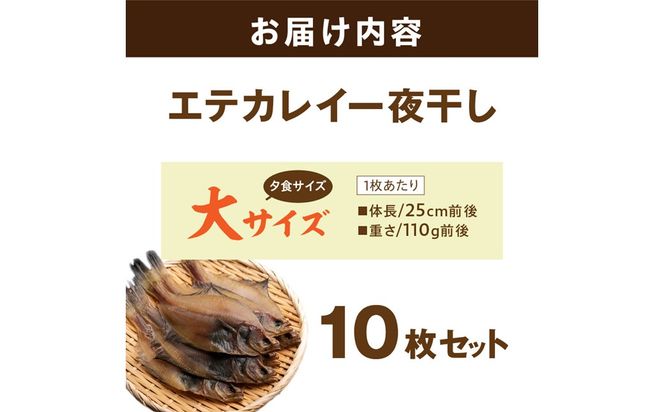 【店主一押し！絶品干物！高リピート！】エテカレイ一夜干し　大サイズ（夕食サイズ）10枚　YK00155