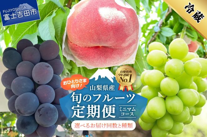 【2027年発送 先行予約】【ミニマム 定期便】厳選 旬のフルーツ定期便　もも シャイン マスカット 黒ブドウ ぶどう 果物 おひとりさま 贅沢 ミニマム 定期便 フルーツ 山梨 富士吉田