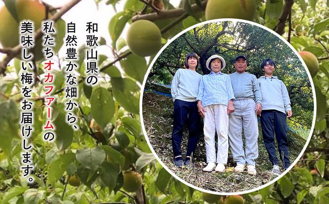【定期便（4月・8月・12月）全3回お届け】 紀州南高梅使用 はちみつ うす塩味 完熟梅干し 無選別 1kg ［TM215］ 303446_XH92268