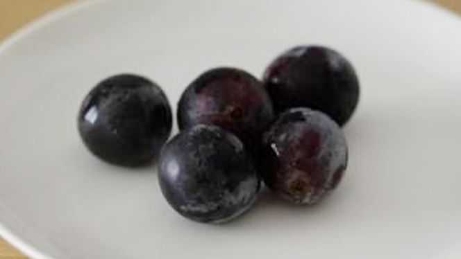 「粒々ぶどう18粒」 シャインマスカット と ぶどう 1品種の宝石箱【2026年8月より発送開始】（茨城県共通返礼品 [ぶどう]：結城市産） ぶどう ブドウ 葡萄 果物 フルーツ 茨城県産 [BI446-NT]