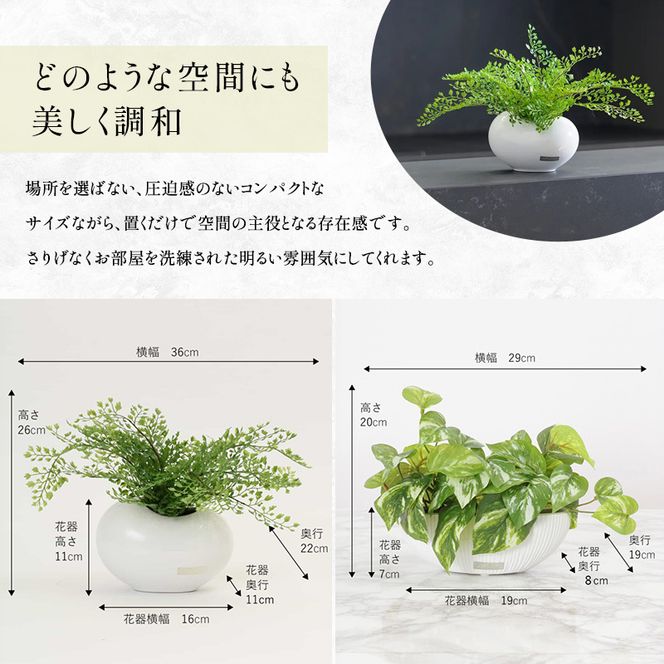 観葉植物 エミリオ・ロバ アジアンタム ポトス 2点セット 造花 シダ Sサイズ 卓上 フェイクグリーン アーティフィシャルグリーン 人工観葉植物 インテリア 水やり不要 テーブル リビング 玄関 ナチュラル ギフト 贈り物 三重県 名張市