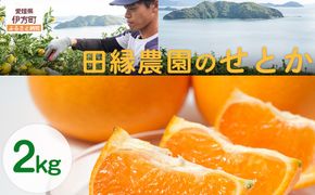 【先行予約】【数量限定】田縁農園のせとか2kg  ※離島への配送不可 （2026年3月5日より順次発送） IKTA027