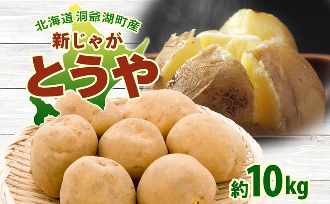 北海道 洞爺湖町産 新じゃがいも とうや 約10kg  Mサイズ以上混載 2026年10月初旬より順次出荷 北海道産 新じゃが じゃがいも ジャガイモ 馬鈴薯 旬 野菜 農作物 送料無料 産地直送 常温 洞爺湖町 