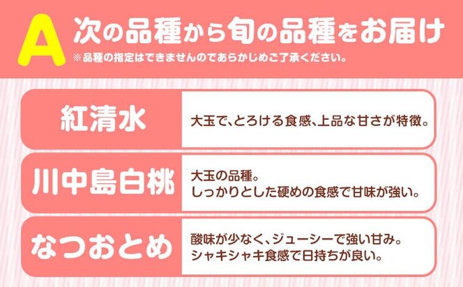 小寺さんの旬の白桃 2kg 6～9玉 小寺壽夫 《7月中旬-8月下旬頃出荷》 岡山県 笠岡市 岡山県産 モモ 果物 フルーツ もも 桃 選べる 品種 白桃 白鳳 清水白桃 岡山夢白桃 白麗 白露 紅清水 川中島白桃 なつおとめ 白皇 白桃---K-29---