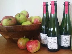 小諸産りんごの発泡酒 シードル３本セット お酒 プレゼント おしゃれ 辛口 信州 長野 お土産 ご当地 お取り寄せ お酒／ワイン 洋酒 アップル リンゴ スパークリングワイン 