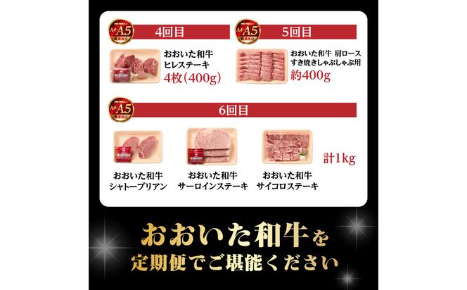 【T10099】【毎月配送】【おおいた和牛堪能】毎月6回お届け定期便