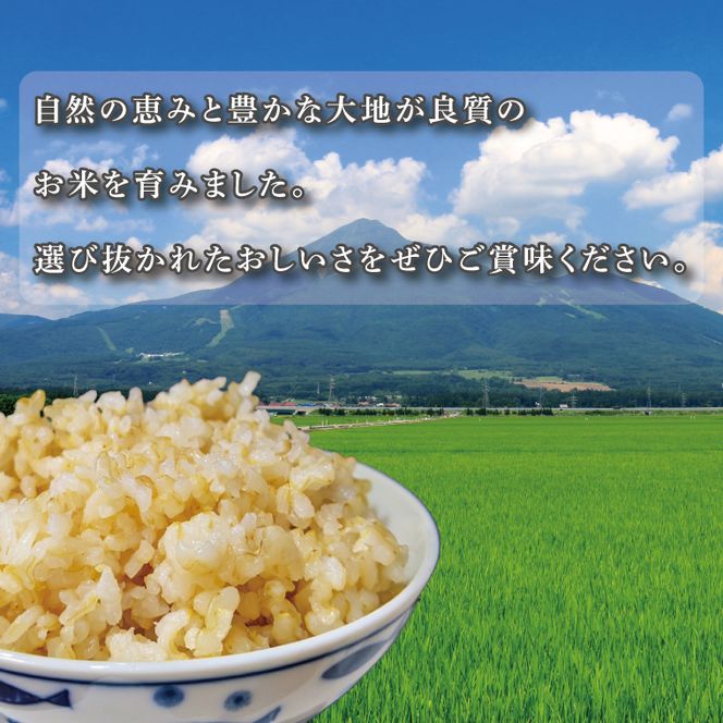 ★真空包装★R7年産こしひかり食べ比べ 計4kg(2kg×各1袋)【5分づき・7分づき】｜米 こめ お米 コシヒカリ こしひかり 真空 真空包装 5分づき 7分づき 人気 個包装 茨城県 行方市 送料無料(CZ-7-3)