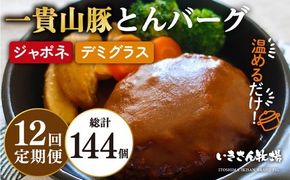 【全12回定期便】一貴山豚 とんバーグ 12個（ 6個 × 2種 ） 糸島市 / いきさん牧場 [AGB015] ハンバーグ デミグラス 冷凍 詰め合わせ 湯せん