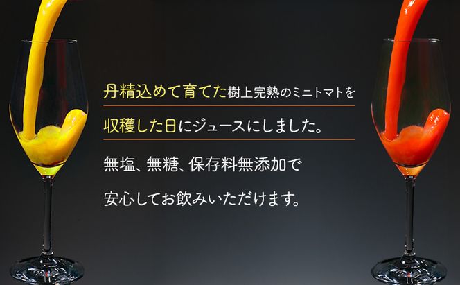 北海道 仁木町産 高糖度 ミニトマトジュース 1L×2本 [エコスイートレモン(新品種)×1本][エコスイート×1本] 無塩・無糖・保存料無添加 栽培期間中農薬・化学肥料・除草剤不使用【2025年産】 [Farm Watanabe]