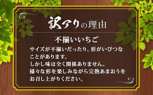 【訳あり】完熟あまおう 4パック 約275g×4パック 合計約1.1kg 【2027年2月上旬～3月上旬までに出荷予定】いちご 苺 イチゴ ベリー 果物 フルーツ お取り寄せ デザート おやつ