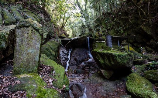 上峰町産米使用「純米大吟醸 鎮西八郎」180ml瓶×6本 C-525