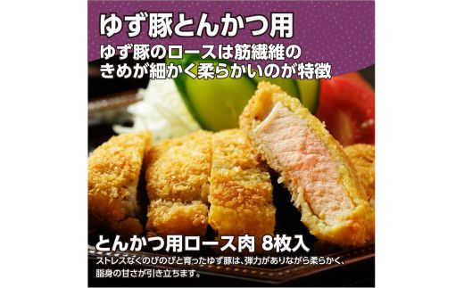 【CF-R7hbk】GRS004　【高知のブランド豚/ゆず豚】脂身が甘いジューシーとんかつ8枚入り（約1.2kg）- トンカツ 豚 カツ 豚肉 肉 国産 ロースとんかつ 8人前 お取り寄せグルメ ギフト・熨斗対応可 贈答 贈り物