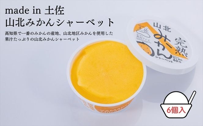 Made in 土佐★完熟山北みかんシャーベット6個（高知アイス）