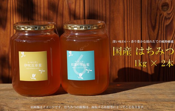 E-29a 国産はちみつ1kg 2本セット