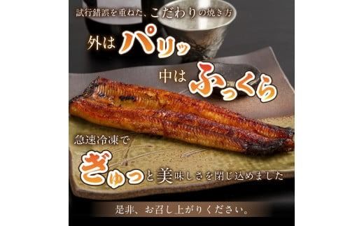 《14営業日以内に発送》オホーツクの綺麗な地下水で育った オホーツク うなぎ 3尾 ( 蒲焼 蒲焼き 丑の日 土用丑の日 )【160-0004】