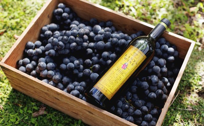 ロースラー ワイン KANTA WINE 2025（赤） 750ml×1本 【2389】