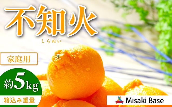 【先行受付】【家庭用】不知火（しらぬい） 5kg ※離島への配送不可（2026年2月中旬より順次発送） IKTAB003 
