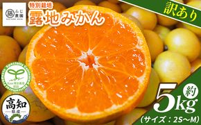みかん 【2026年10月以降順次配送分】ふじ農園の露地みかん 訳あり品 5kg (2S～M) - 国産 蜜柑 ミカン 柑橘 果物 フルーツ 訳アリ ご家庭用 家庭用 自宅用 ふじ農園 高知県 香南市 常温 fn-0013