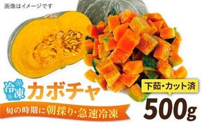 カボチャ 500g 冷凍 カット済み 旬の時期に急速冷凍 【福岡県糸島産】 糸島市 / オーガニックナガミツファーム 野菜 南瓜 かぼちゃ 	[AGE041]
