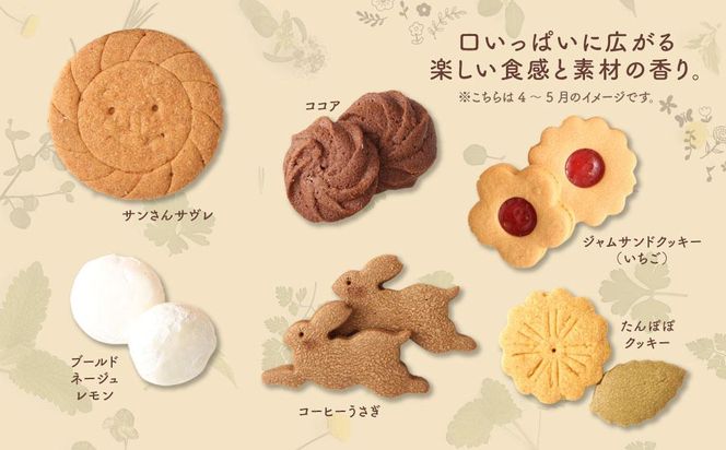 季節の焼き菓子ギフト＜L箱＞ 141305_DF11