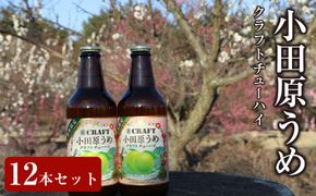 小田原うめクラフトチューハイ　12本セット| チューハイ 梅 お酒 ドリンク 飲み物 飲み比べ ギフト プレゼント 神奈川県 小田原市 142069_AX017