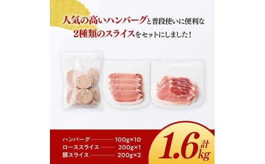 「まるみ豚」宮崎県産豚肉　ハンバーグ・精肉セット　計1.6kg 【 豚肉 豚 肉 国産 川南町 ハンバーグ 精肉 】[D11511]