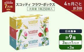 定期便 ティッシュ スコッティ フラワーボックス 3箱 × 1 パック《 4ヶ月ごと計 3回 》ティッシュセット