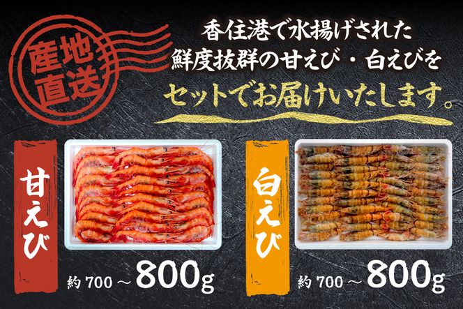 兵庫県香住産 エビのお楽しみセット 白えび 甘えび 合計1.6kg 冷凍 【令和8年9月以降発送予定】 日本海 香住 柴山 水揚げ 国産 甘エビ 白エビ えび エビ 海老 2種 食べ比べ 鮮度抜群 急速冷凍 新鮮 旨み お刺身 焼き物 塩ゆで フライ 唐揚げ 鍋物 海鮮丼 プレゼント 贈答 お祝い ギフト 贈り物 大人気 ふるさと納税 返礼品 おすすめ 兵庫県 香美町 宿院商店 33-09
