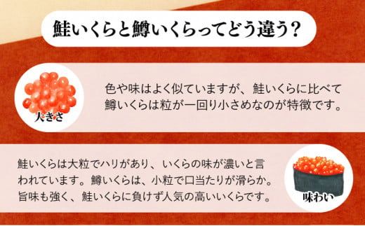絶品!いくら醤油漬け 200g or 400g 冷凍 小分け お試し 鱒子 鱒いくら