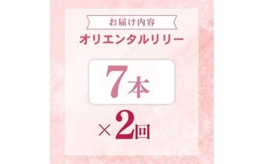 定期便2回 ユリ オリエンタルリリー 7本 花 切り花 プレゼント 贈り物 ギフト 誕生日 記念日 つぼみ 大輪 ピンク 白 香り 優雅 華麗 ブーケ フラワーアレンジメント 観賞用 インテリア 季節の花 高級感 花束 生花 福田園芸 オリエンタルハイブリッド 安芸市 高知県