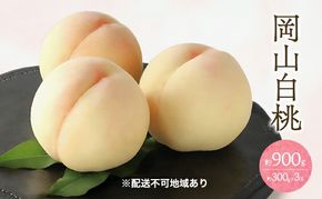 桃 2026年 先行予約 白桃 3玉 合計約900g （1玉約300g） もも モモ 岡山 国産 フルーツ 果物 ギフト 桃茂実苑