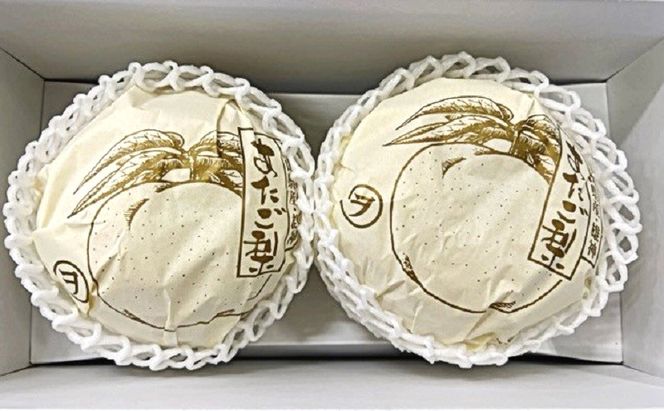 【ふるプレ限定品】梨 2026年 先行予約 あたご梨 2玉 青秀以上 (約1.4kg) 化粧箱入り