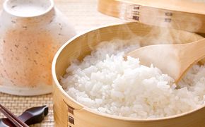 岐阜県揖斐郡産 味のいび米 はつしも 精米10kg お米 