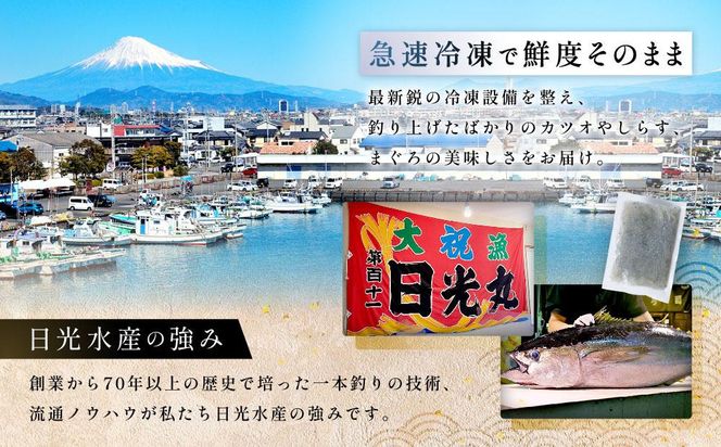 日光丸水揚げの海鮮をたっぷりお届け！御前崎の海鮮詰め合わせセット（1～2人前）海鮮 詰め合わせ セット 冷凍 時短 おつまみ おかず ごはん 加工品 222232_BC037