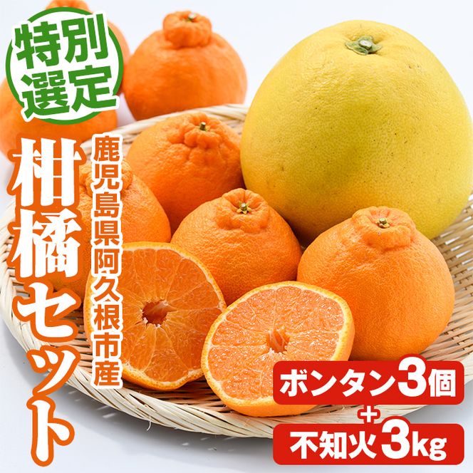 ＜先行予約受付中！2027年1月以降順次発送予定＞鹿児島県阿久根市産！特別選定 柑橘セット(ボンタン3個・不知火3kg) 国産 果物 フルーツ かんきつ ノーワックス【松永青果】akn053-26