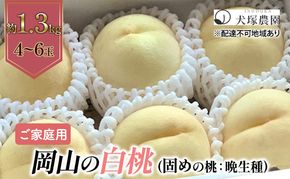 固めの桃 2026年 先行予約 ご家庭用 岡山 の 白桃 （晩生種）約1.3kg 4～6玉 岡山県 フルーツ もも 桃 モモ ピーチ 人気 新鮮 フルーツ 桃 もも 桃 モモ 訳あり くだもの 桃 もも 果物 フルーツ 桃 もも 