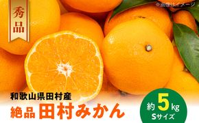 AB7431_《2026年11月～発送》【和歌山特産品】【2026年先行予約】【プレミアムブランド】絶品 田村みかん 秀品 Sサイズ 約5kg