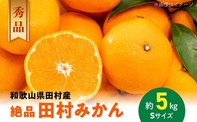 AB7431_《2026年11月～発送》【和歌山特産品】【2026年先行予約】【プレミアムブランド】絶品 田村みかん 秀品 Sサイズ 約5kg
